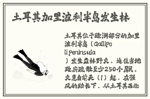 丁香五月牛影视